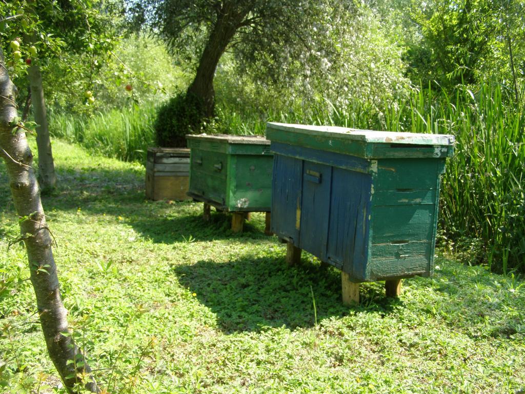 Pelican City Vylkove Exteriör bild